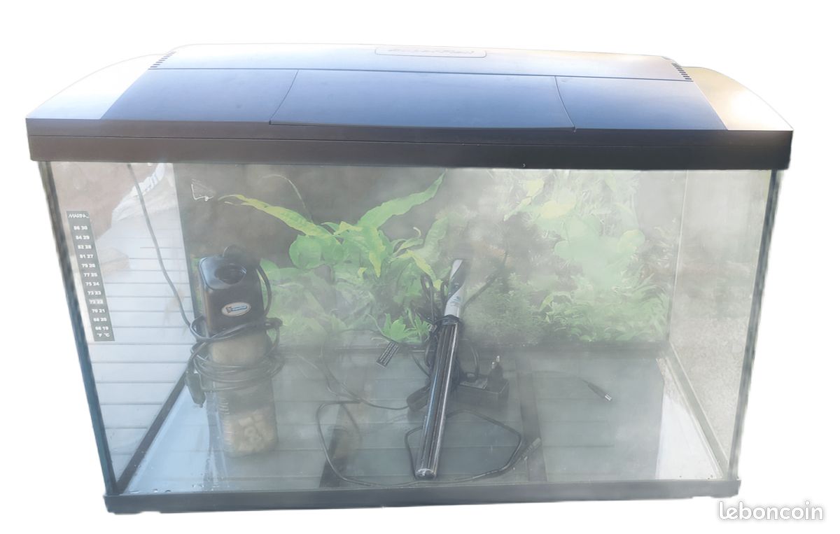 Aquarium superfish smart 100 (image 1)