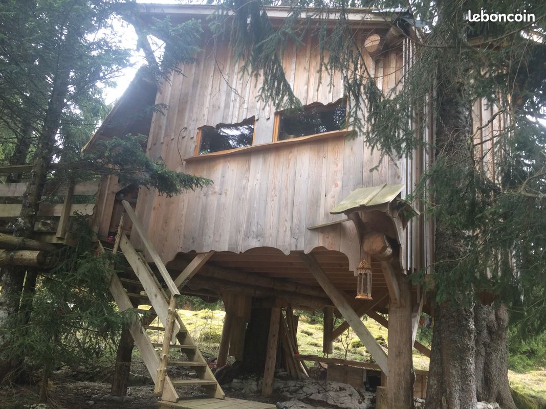 Cabane perchée au milieu de la forêt (image 8)