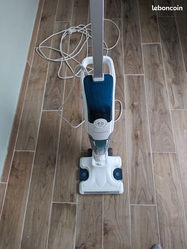 Rowenta clean & steam (image 1)
