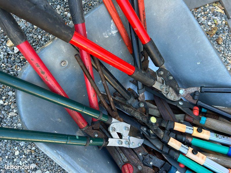 Vends plusieurs coupes branches et tailles haies manuels (image 5)