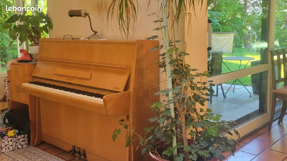 Piano Petroff (image 3)