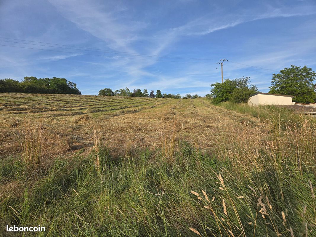 Terrain SERGINES · 79 000 €