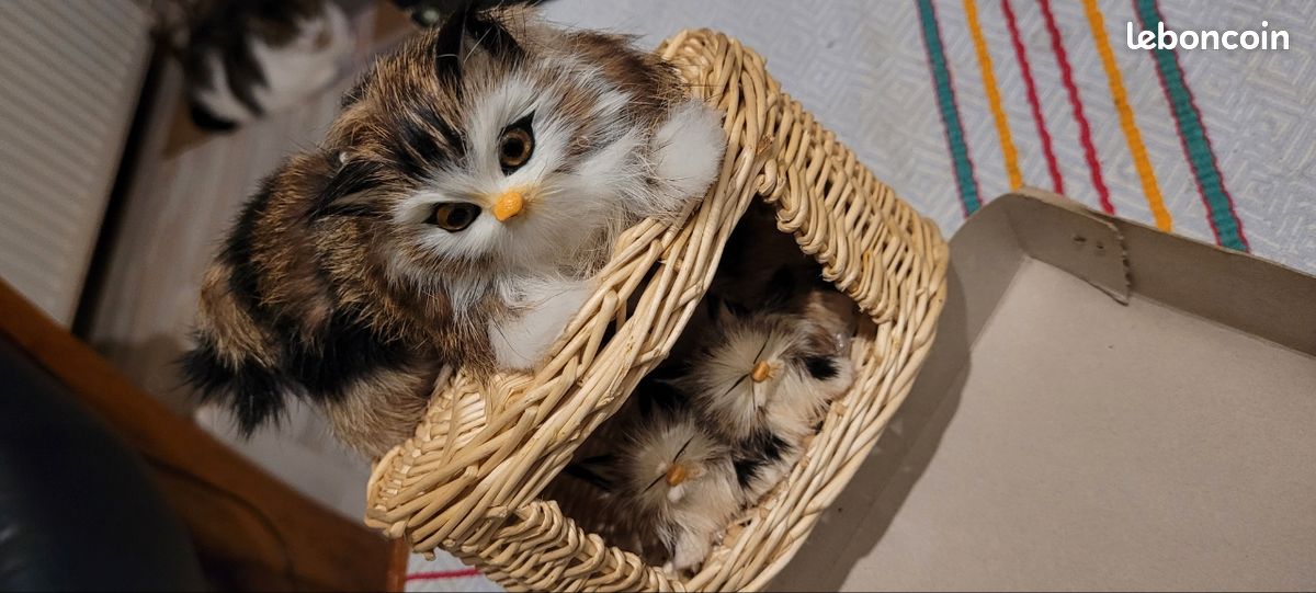 Chats mignons babiole (image 5)