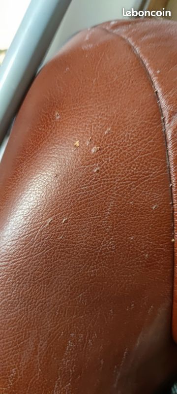 Fauteuil en cuir (image 4)