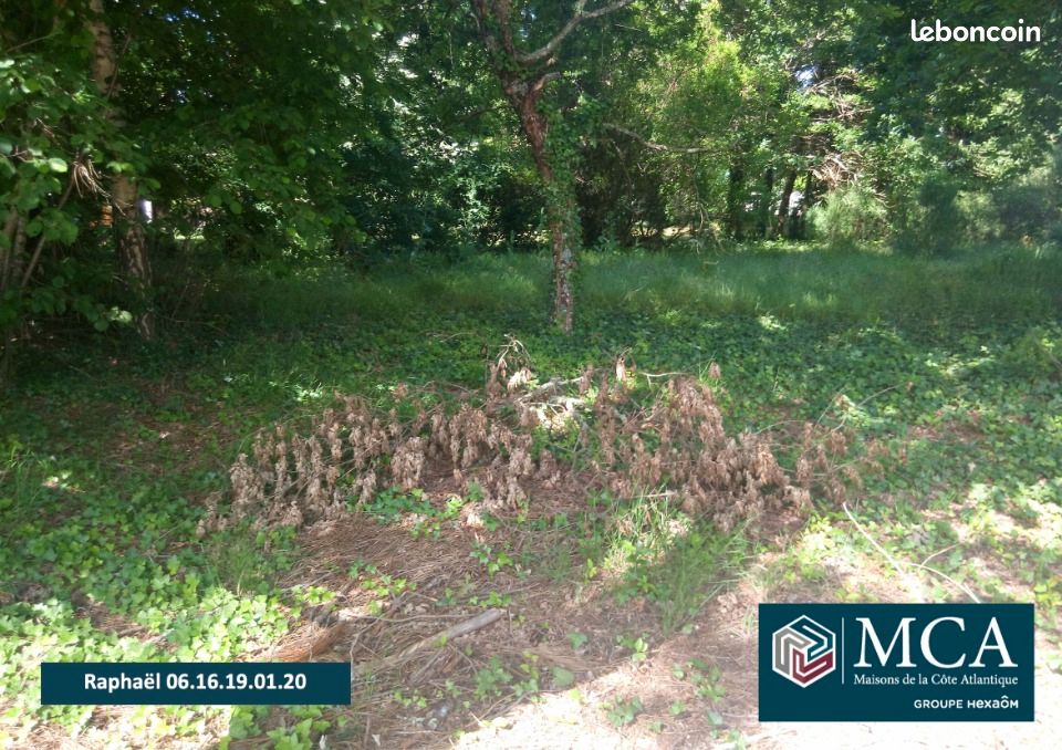 Terrain 630 m² · à Lugos · 118 000 €