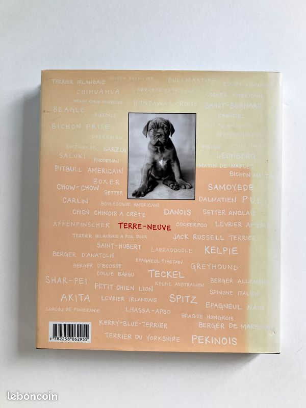 Gueules de chiens (image 7)