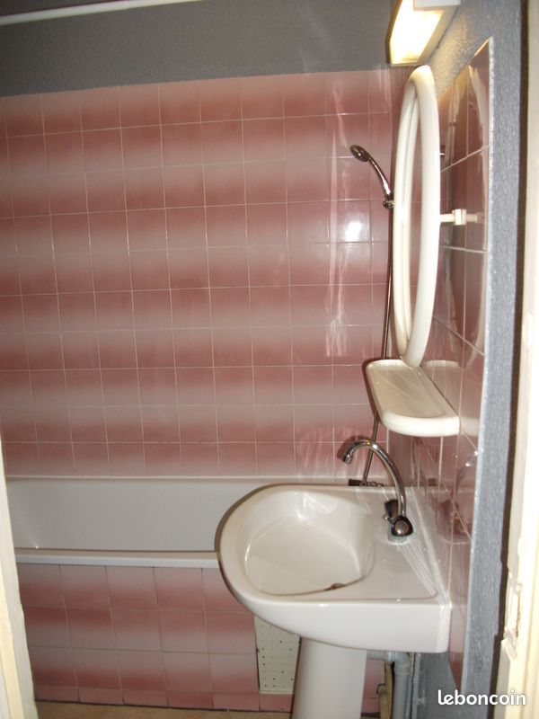 Appartement T1 33 m2 pour étudiants - Limoges 87000 Centre-Hôtel de Ville Emailleurs (image principale 2)