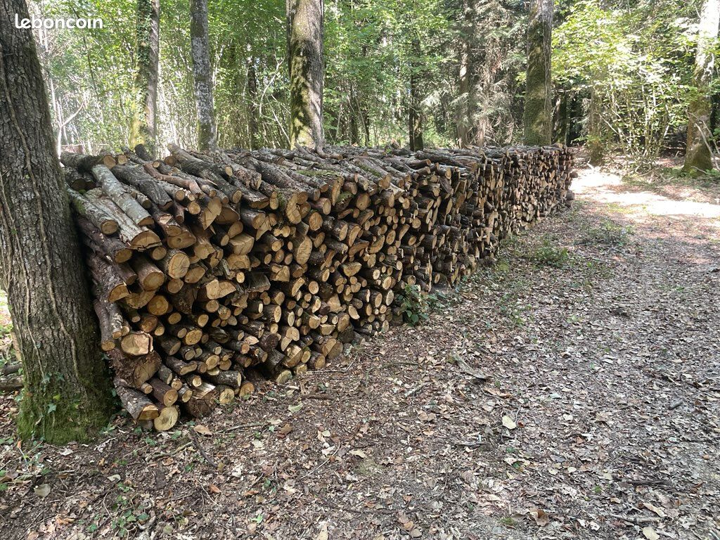 Bois de chauffage (image 2)