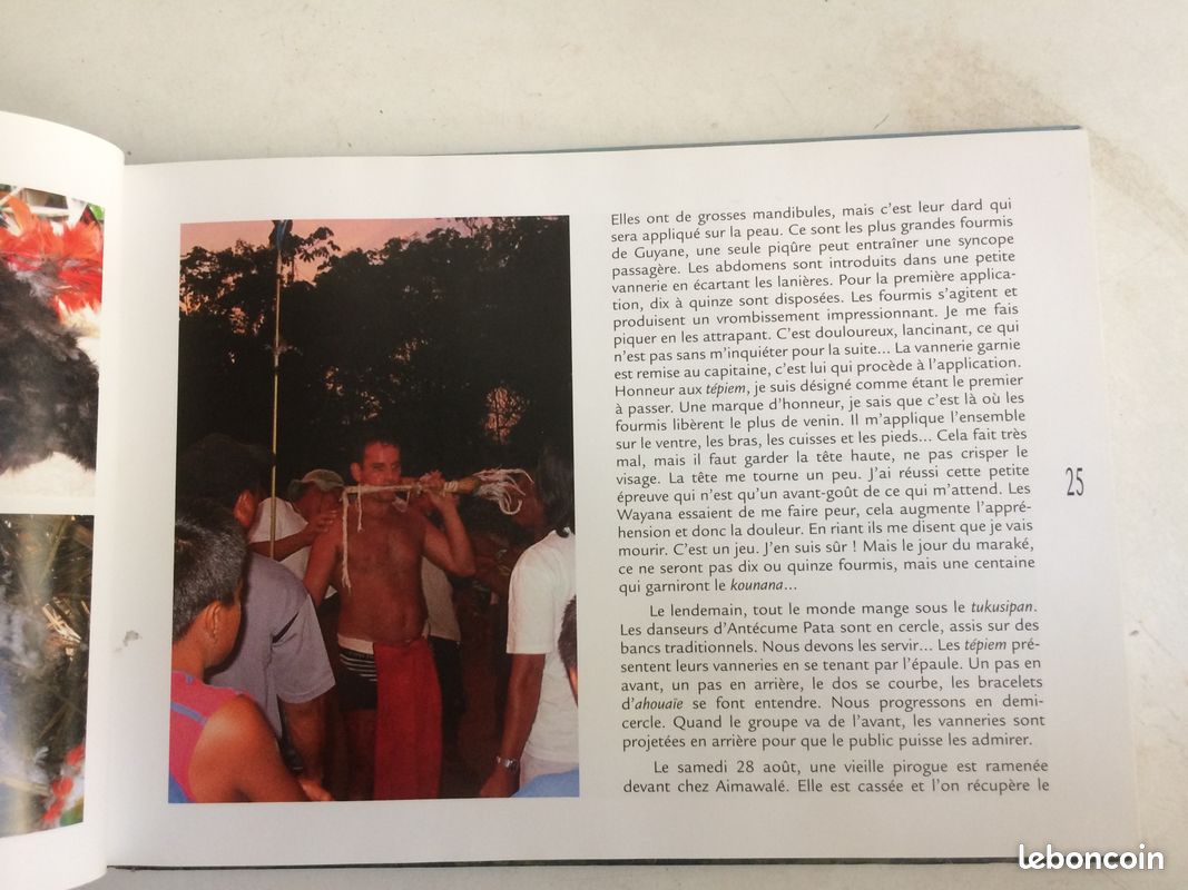 Au cœur des Tumuc Humac (image 4)