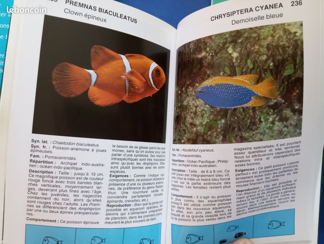 Livres poissons d'aquarium (image 4)