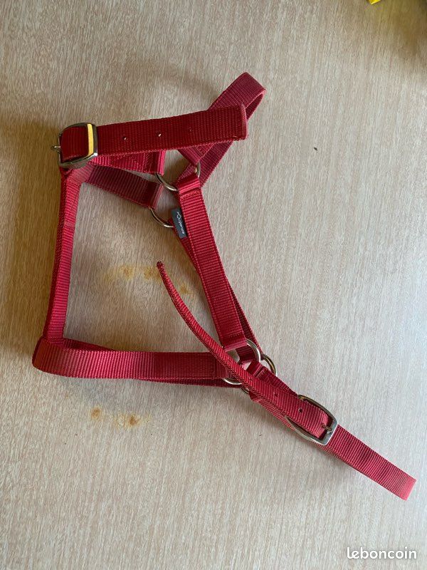 Licol cheval taille 3 (image 1)