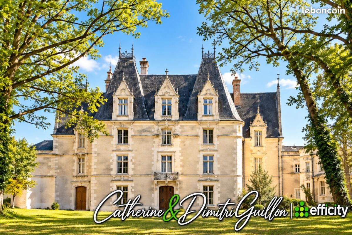 Maison 76 pièces 5000 m² · à Vouillé · 5 000 m² · 3 875 000 €