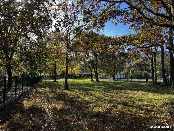 Terrain 2 260 m² Grayan Et L Hopital