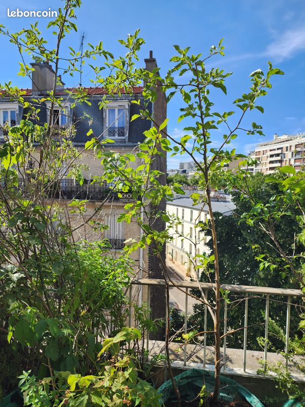 Arbres fruitiers et plantes aromatiques, de 15 à 40 en fonction de la taille (image 9)