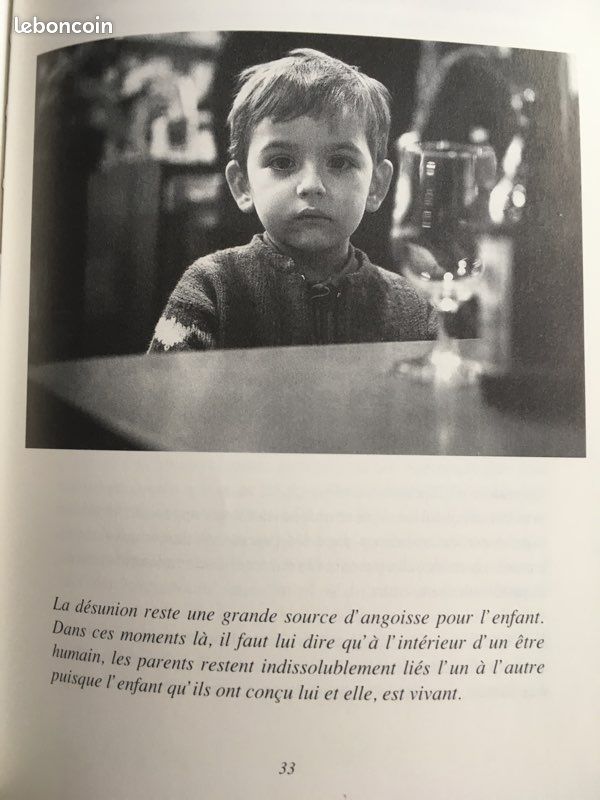 L’Enfant ds la Ville. F.Dolto. 1988 (image 5)