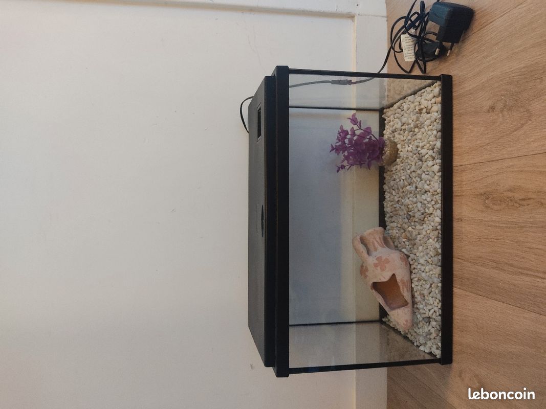 Aquarium (image 1)