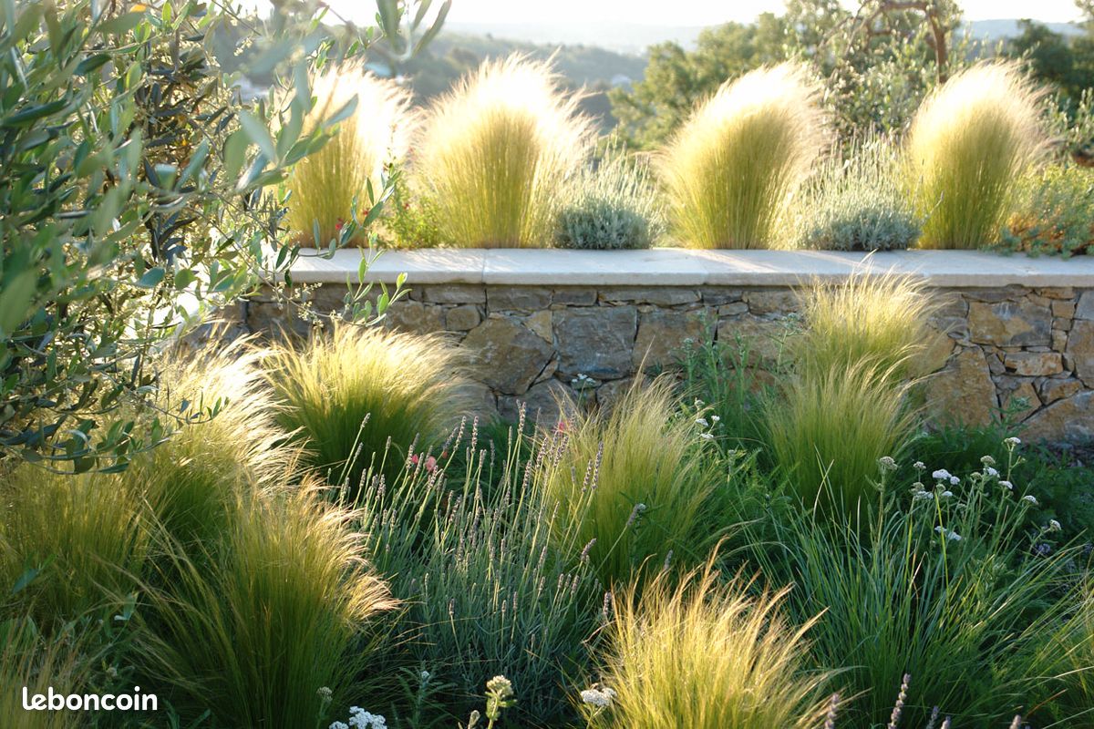 Jardinier paysagiste propose ses services (image 3)
