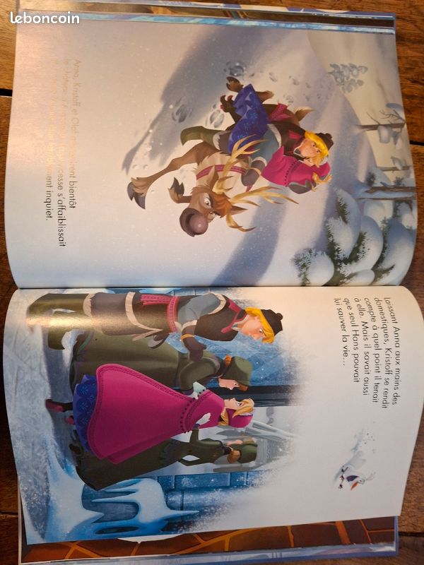Livre Disney La Reine des Neiges (image 4)