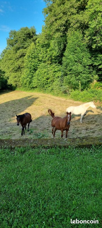 Gîte 5 personnes (image 9)