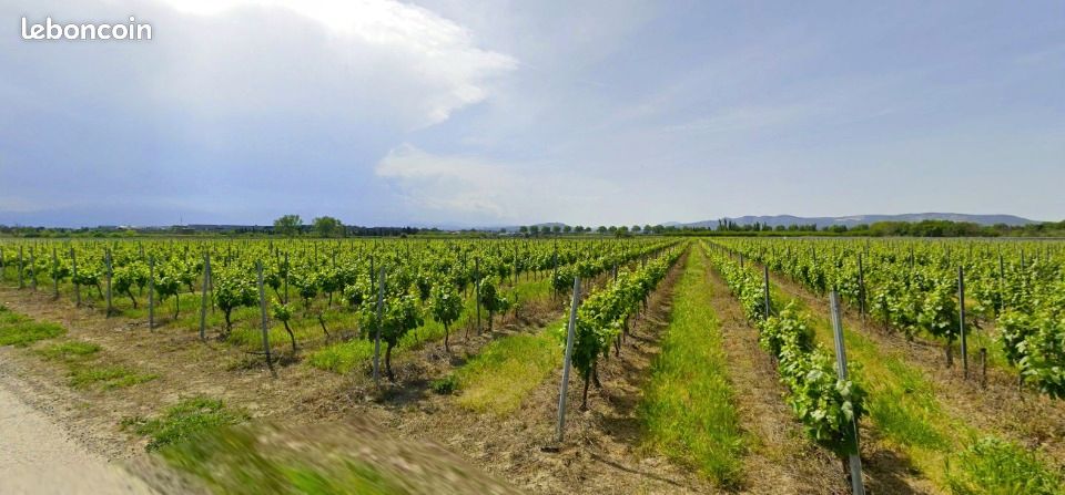Terrain 335 m² Pia · 100 000 €