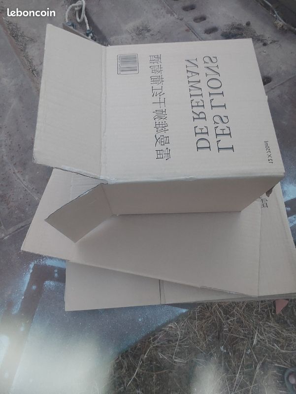 énorme quantité cartons (image 1)