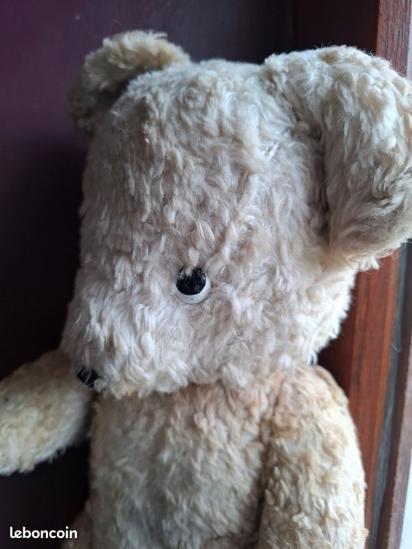 Ours en peluche ancien des années 1950 - Collection