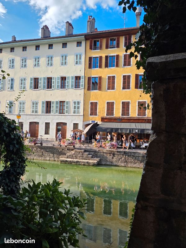T2 MEUBLÉ 38 m² RÉNOVÉ – VUE SUR LE THIOU – VIEILLE VILLE D’ANNECY (image 10)
