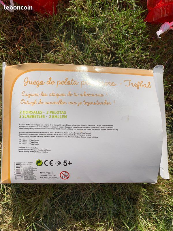 Jeu de ballon prisonnier (image 3)