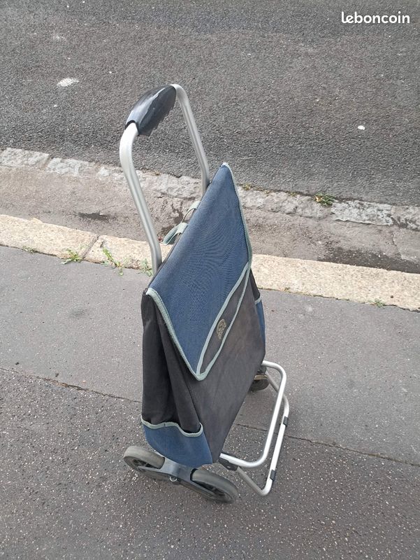 Caddie bleu (image 2)