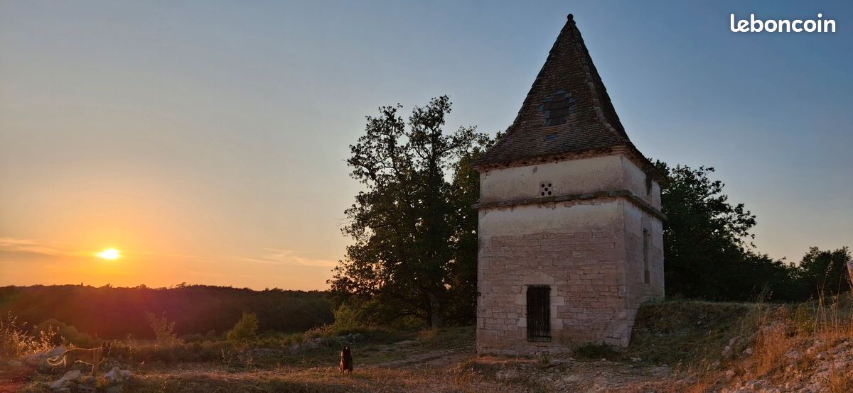 Spacieux gîte (12 personnes) au coeur du triangle d'or: région la plus ensoleillée du Tarn (image 1)