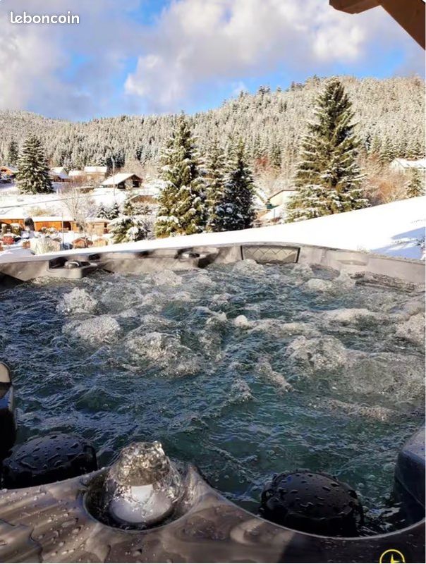Location Chalet Spa Sauna 300 m Lac (image 1)