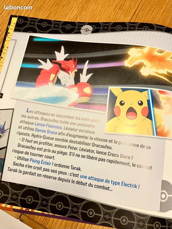 Pokémon les voyages la série (image 3)
