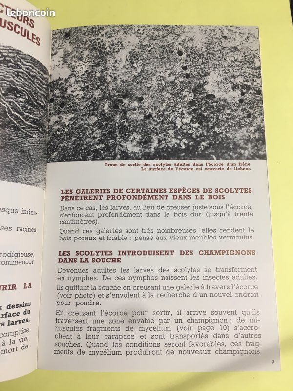 Bibliothèque du Travail 890 La souche du bois à l’humus (image 3)