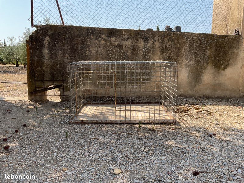 Cage artisanale pour chiens de chasse (image 1)