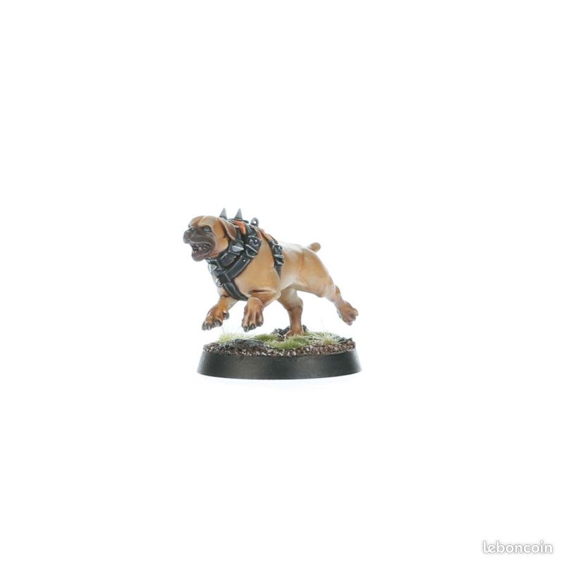 1x Chien Pisteur du Corps d'Éclaireurs Cities of Sigmar 02 - Age of Sigmar / Mordheim (Neuf) (image 1)