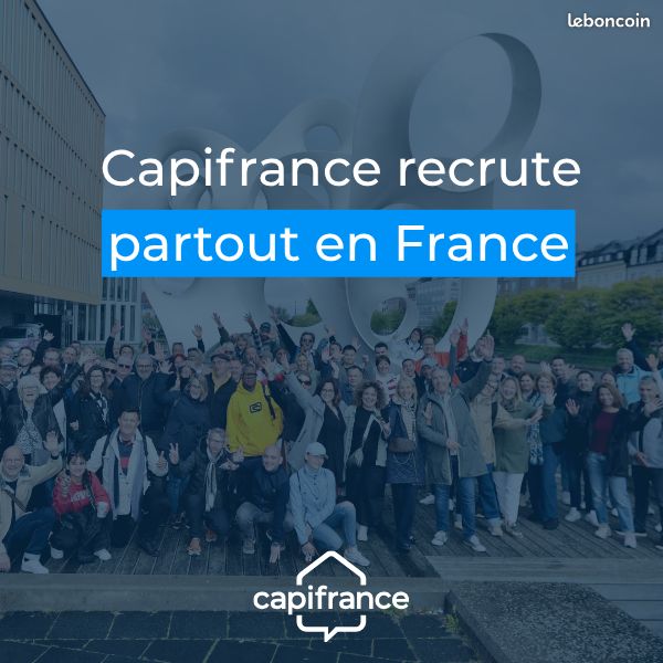 Agent commercial en immobilier (H/F/X) (image 2)