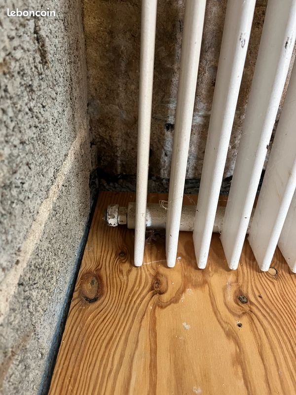Grand radiateur vertical (image 3)