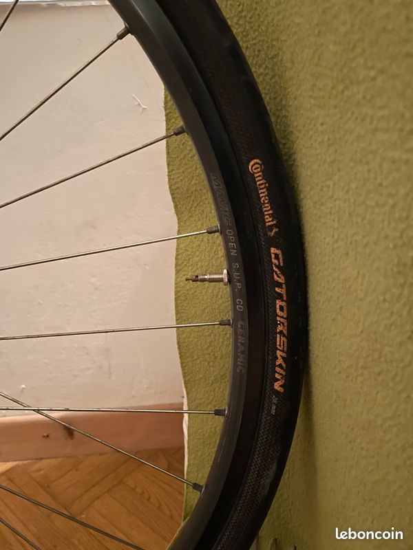 Vitus Carbone Vintage (image 5)