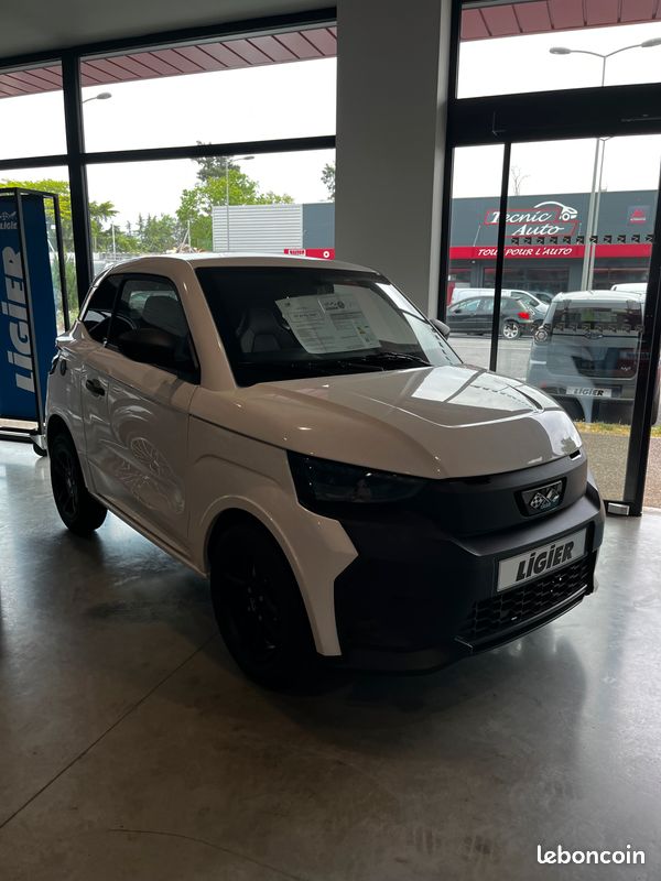 Voiture sans permis (image 4)
