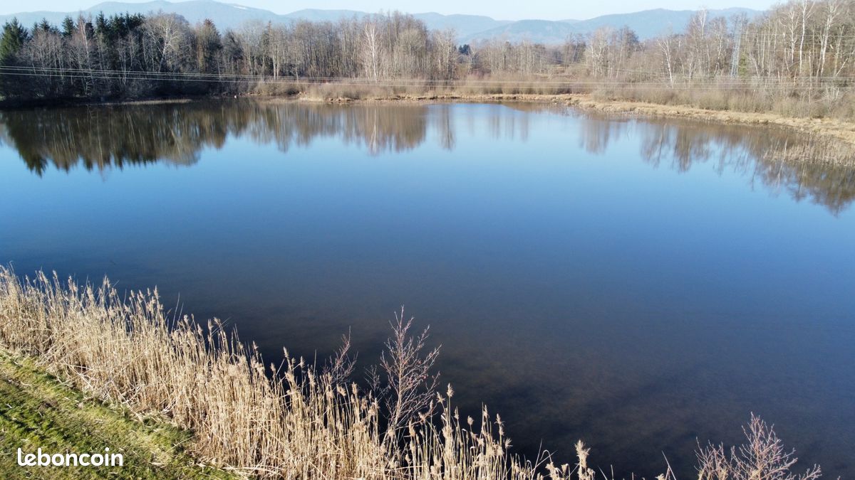 Terrain 39191 m² Sermamagny (image 5)