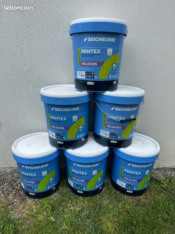 Peinture professionnelle Seigneurie – 15L – Nantes & périphérie (image 1)