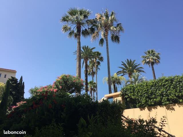 Appartement 3 pièces 74 m² · à Cannes · 74 m² · 1 650 €