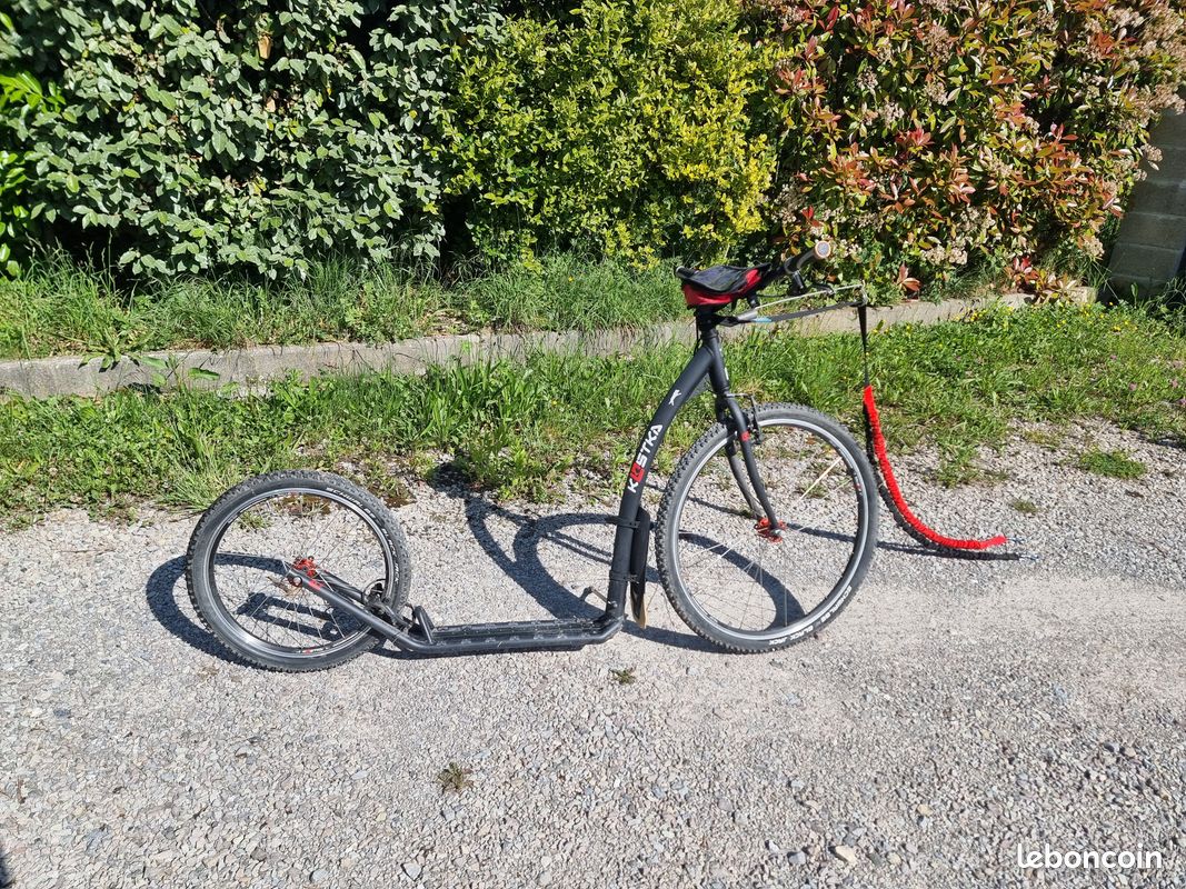Trottinette de mushing Kostka Tour Max Dog 26/20 – État quasi neuf (image 1)