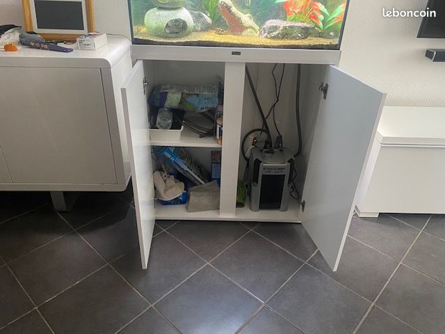 Aquarium complet (image 2)