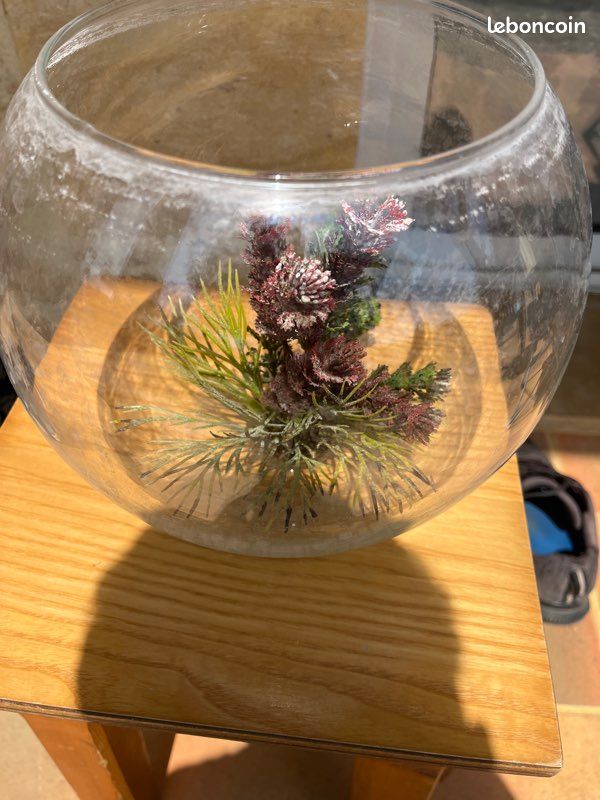 Boule d’aquarium (image 1)