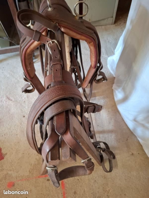 Harnais D'équitation Complet En Cuir Brubacher - Collier Poitrine Mennonite, Taille Cheval (occasion)