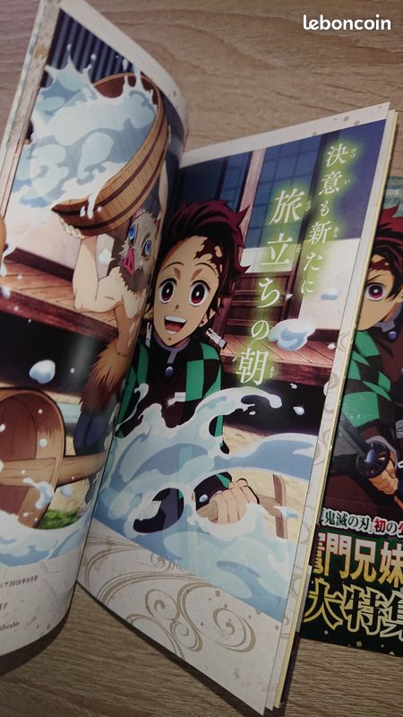 [Lot] Demon Slayer Character Book 1 & 2 - Kimetsu No Yaiba (image 5)