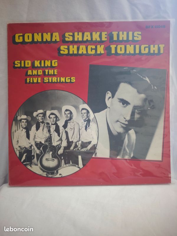 Vinyle gonna shake this shack tonight (image 1)