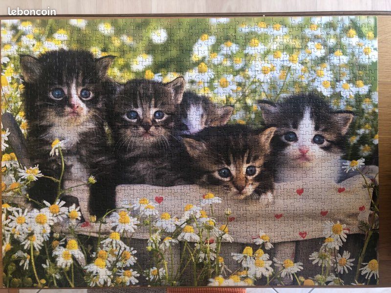 Puzzle 1000 pièces Chatons (image 2)