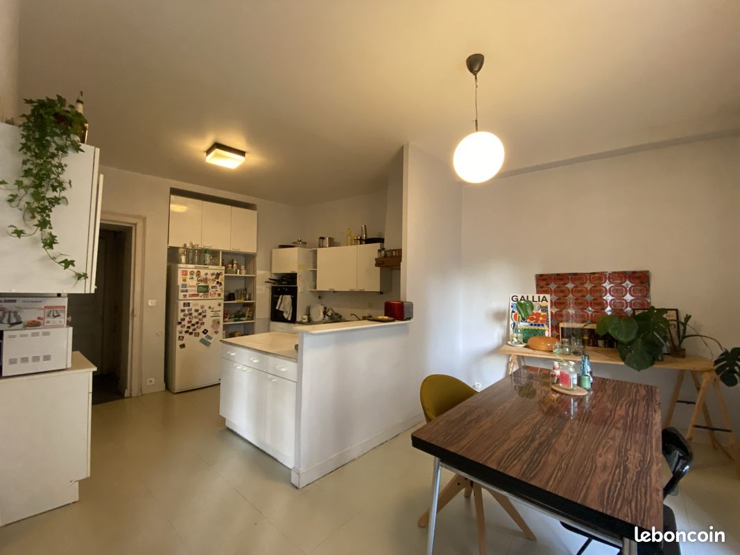 Colocation 3 chambre centre ville de Nantes (image 2)